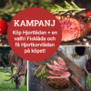 Hjortlåda 2,7kg